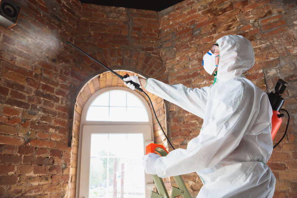 Best Biohazard Mold Removal  in Fort Valley, AZ